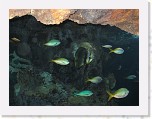 Dierentuin Burgers  Zoo 055 * 3648 x 2736 * (4.38MB)